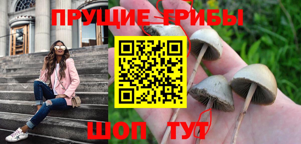 Галлюциногенные грибы GOLDEN TEACHER Нурлат